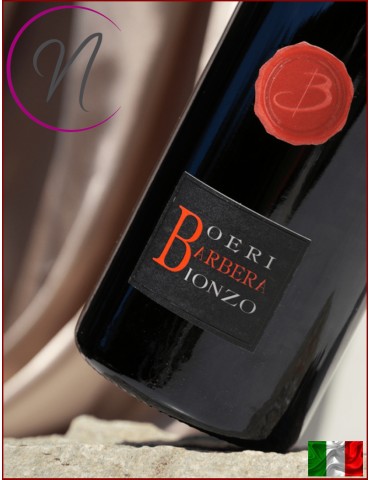 Barbera d'Asti Superiore Bionzo | Boeri Vini