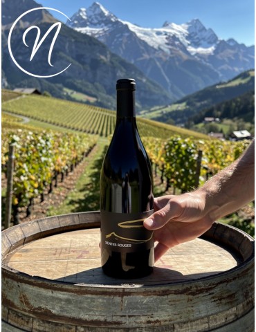 Bouteille de vin rouge sombre sur un tonneau en bois, vignoble en arrière-plan et montagnes enneigées sous un ciel bleu.