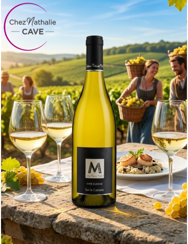Viré Clessé Sur le Calcaire 2022 | Domaine Jean-Pierre Michel | Bourgogne Blanc | Vendangeurs