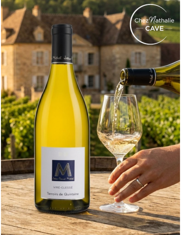 Viré Clessé Terroir de Quintaine | Jean-Pierre Michel | Bourgogne Blanc dans les vignes