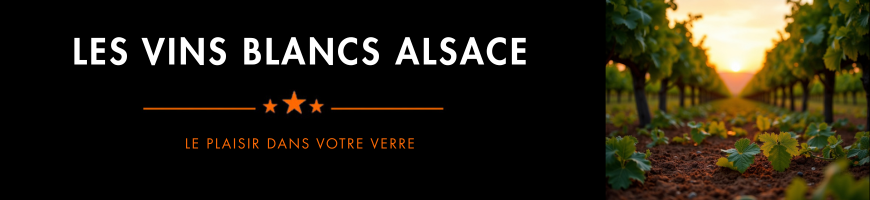 Vins d'Alsace - Blancs, Rieslings et Grands Crus