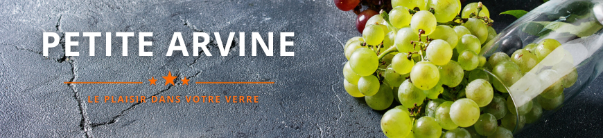 Petite Arvine du Valais | Vin blanc suisse | Cave chez Nathalie