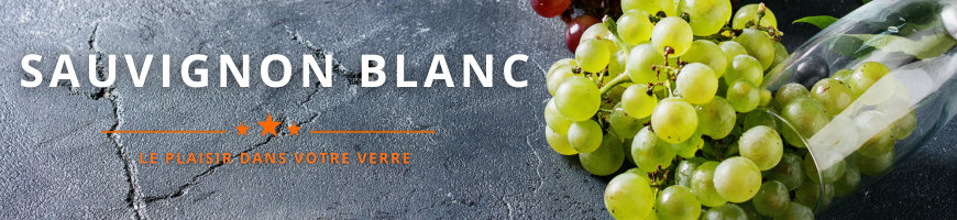 Cépage Sauvignon Blanc | Cave chez Nathalie