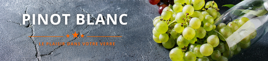 Cépage Pinot Blanc | Cave chez Nathalie