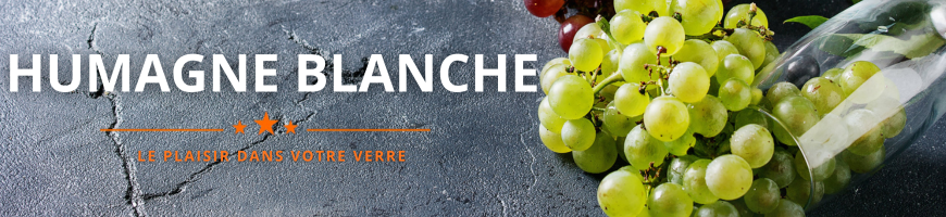 Humagne blanche : cépage valaisan blanc | Cave chez Nathalie