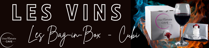 Bag-in-Box et cubi de vin : fontaines à vin pratiques et économiques
