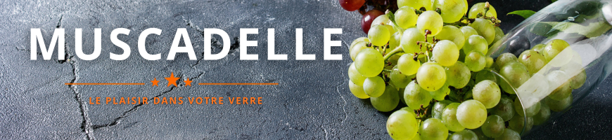 Muscadelle, cépage blanc du Bordelais | Cave chez Nathalie