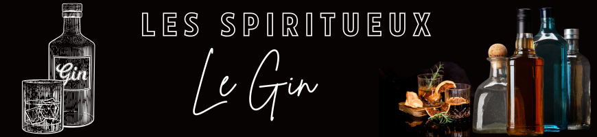 Le Gin - Une histoire fascinante | Cave chez Nathalie