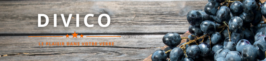 Divico – cépage suisse résistant pour vins de caractère