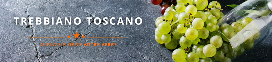 Trebbiano toscano : découvrez ce cépage blanc italien