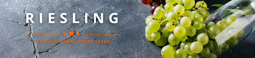 Cépage Riesling | Cave chez Nathalie
