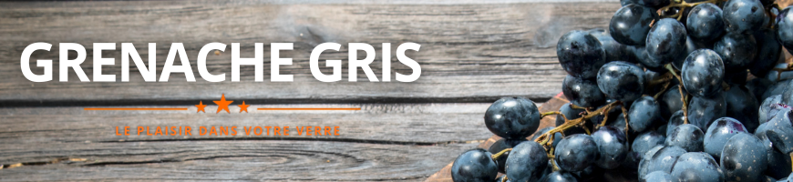 Grenache Gris : le cépage gris d'origine espagnole