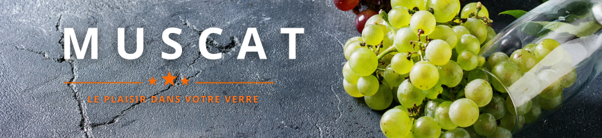 Muscat blanc, cépage aromatique | Cave chez Nathalie