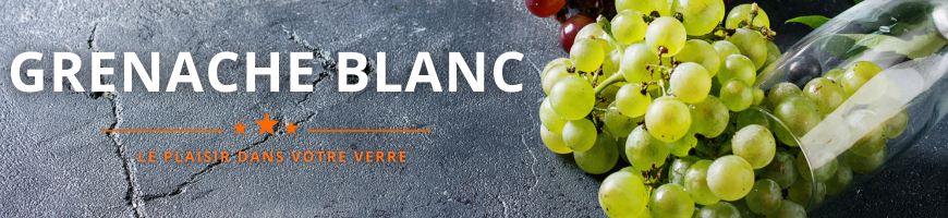 Grenache blanc : le cépage vin d'exception