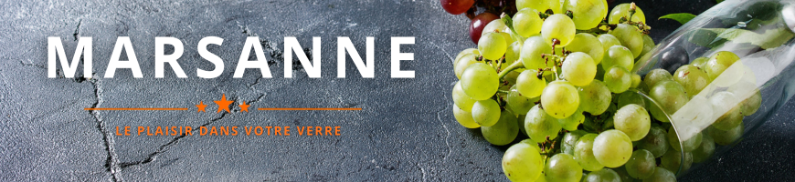 Marsanne blanc : vin de la vallée du Rhône | Cave chez Nathalie
