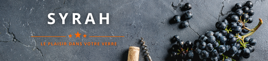Vins Syrah en Vallée du Rhône | Cave chez Nathalie
