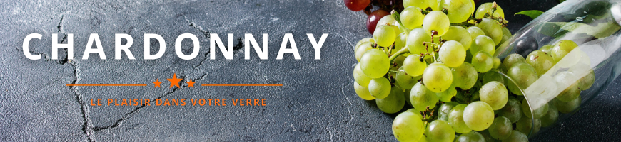 Cépage Chardonnay | Cave chez Nathalie