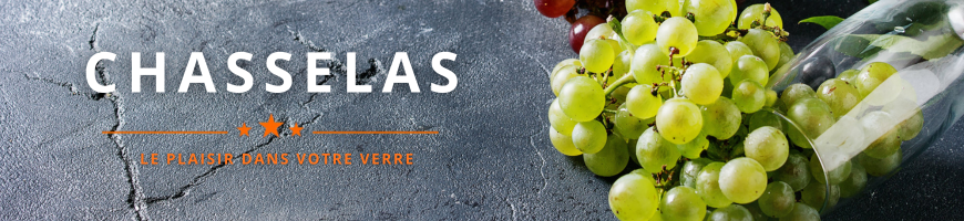 Cépage Chasselas | Cave chez Nathalie