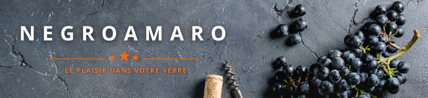 Vin Negroamaro : découvrez ce cépage rouge des Pouilles