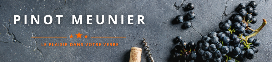 Cépage Pinot Meunier | Cave chez Nathalie