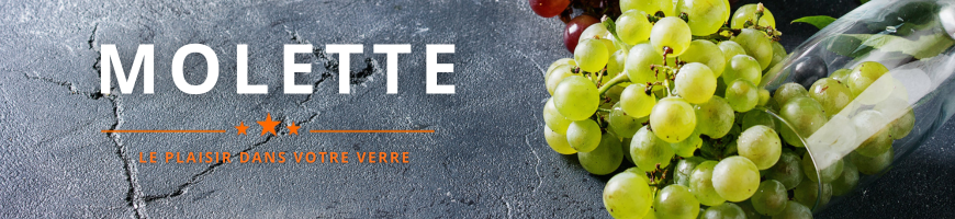 Molette : le cépage blanc de Savoie | Cave chez Nathalie
