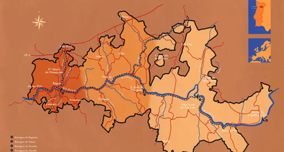 Carte du vignoble de porto | Cave chez Nathalie