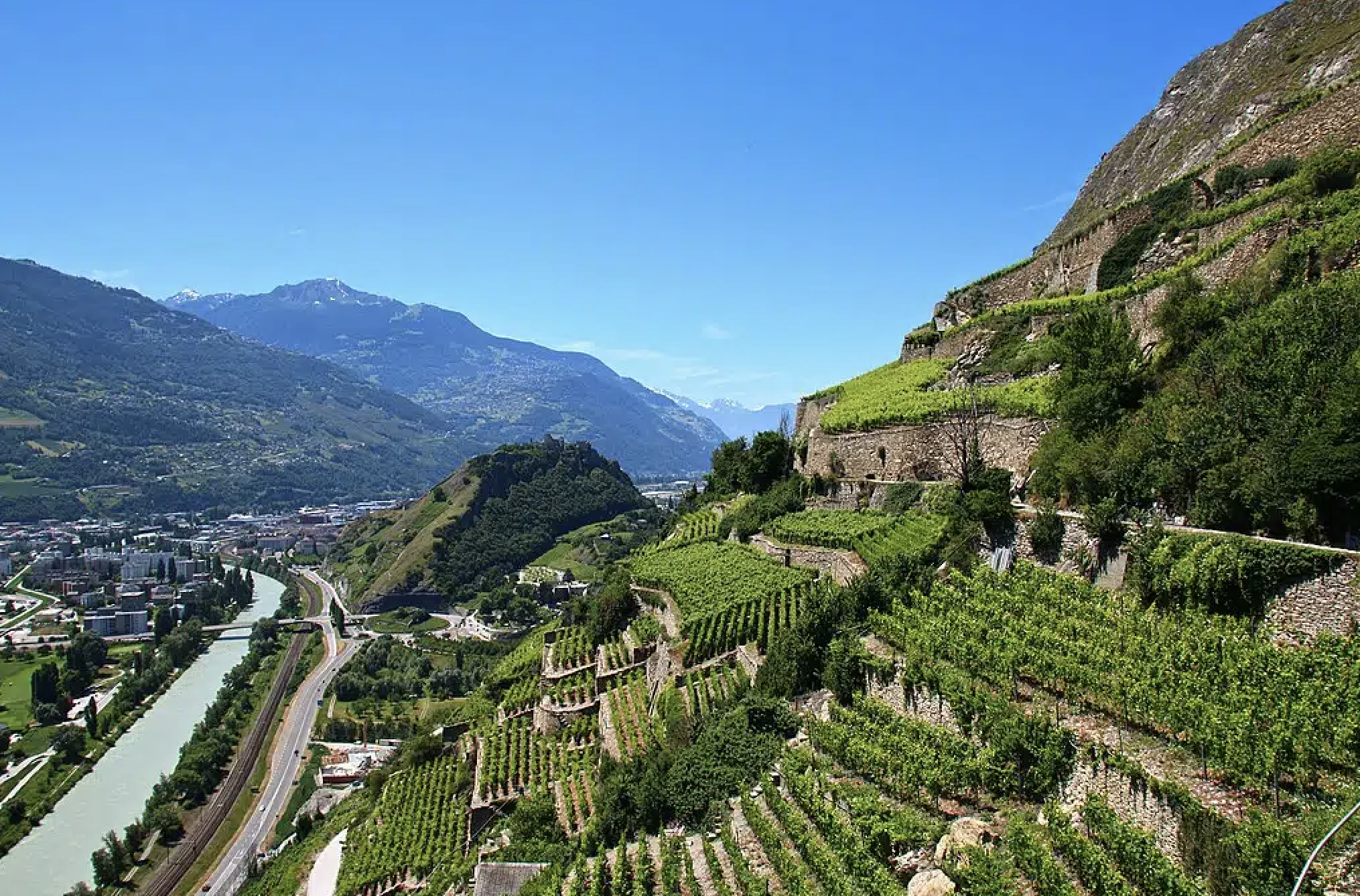 vignoble du valais