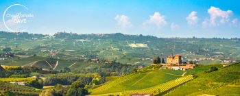 Paysage des vignes dans le Piémont en Italie