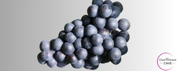 Cépage Carignan