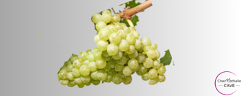 Cépage Charmont - grappe