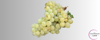 grappe de raisin cépage clairette