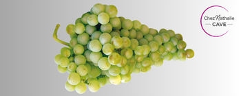 Grappe de raisins cépage airen