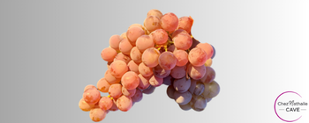 Grappe de raisin cépage Grenache gris