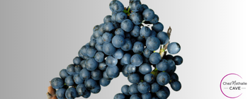 Grappe de raisin cépage Mara
