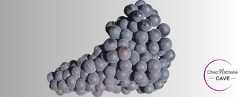 Grappe de raisin cépage Mondeuse