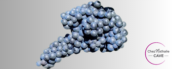 Grappe de raisin cépage Primitivo | Cave chez Nathalie