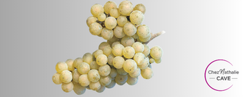 Grappe de raisin cépage Riesling | Cave chez Nathalie