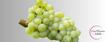 Grappe de raisin cépage Riesling-Sylvaner | Cave chez Nathalie
