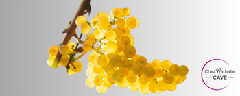 Grappe de raisin cépage Roussanne | Cave chez Nathalie