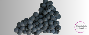 Grappe de raisin cépage Saperavi | Cave chez Nathalie