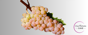 Grappe de raisin cépage Sauvignac
