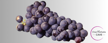 grappe de raisin cépage trousseau
