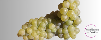 grappe de raisin cépage viognier - cave chez Nathalie
