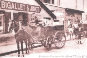 Maison Bigallet | Sirop - Crêmes - Liqueurs