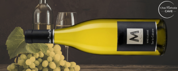 Viré Clessé sur le calcaire - Bourgogne Blanc Jean Pierre Michel