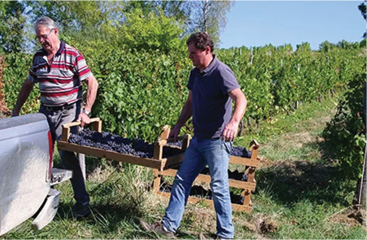 Domaine du Tausson | André et Jean-François Michel | Côtes du Jura