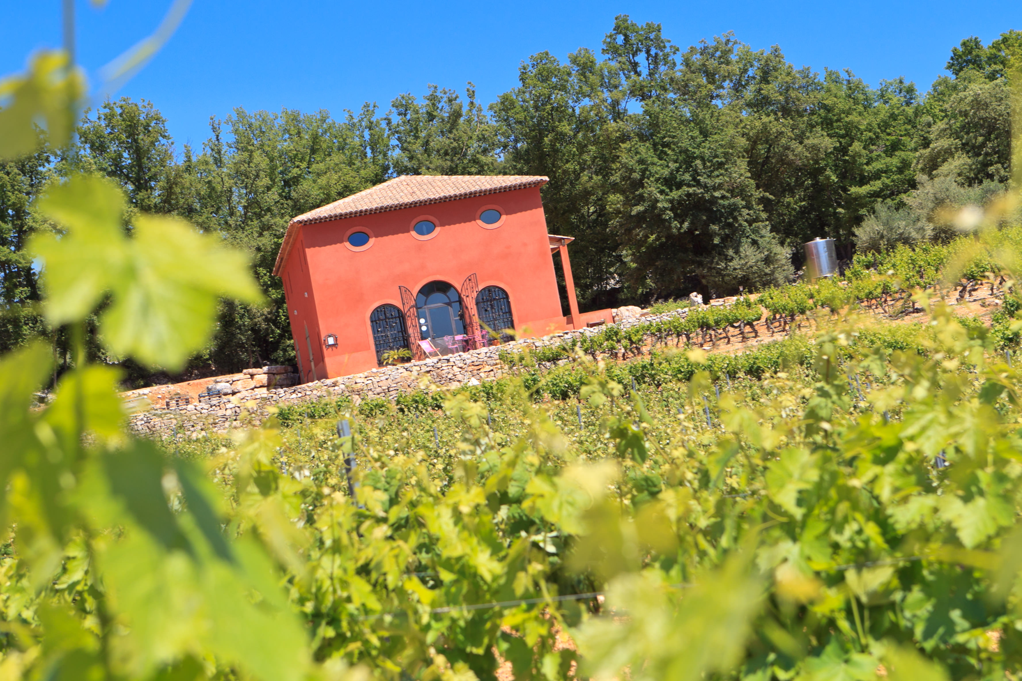 Domaine des Trois Terres | Vins de Provence