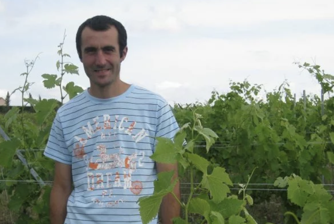 Domaine de l'Arbussele | Faugères