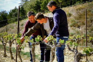 Domaine de Durban | Beaumes de Venise