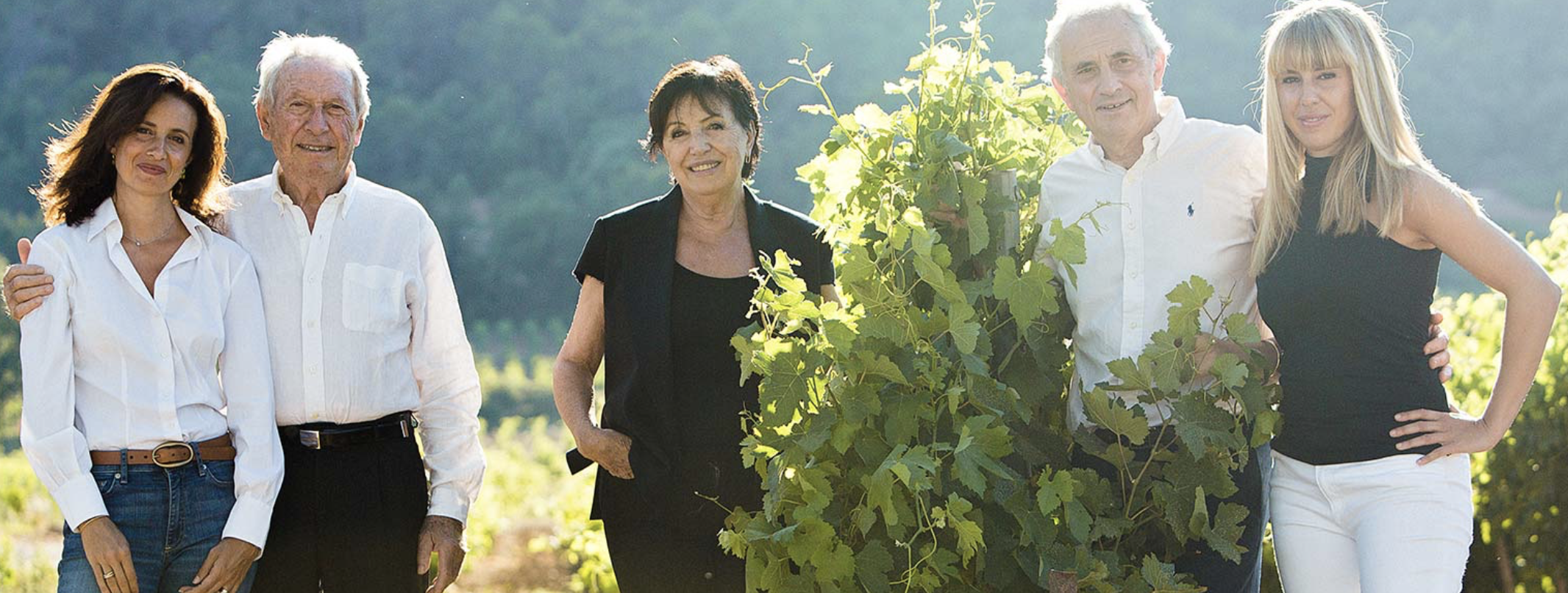 Domaine du Loou | Vins de Provence